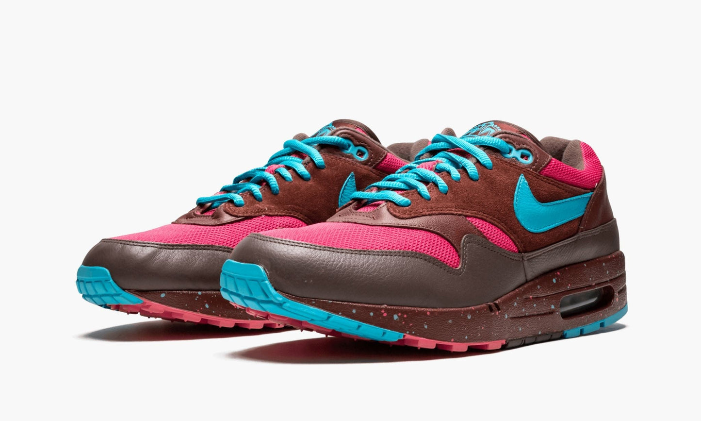 Air AMS Max "Amsterdam"