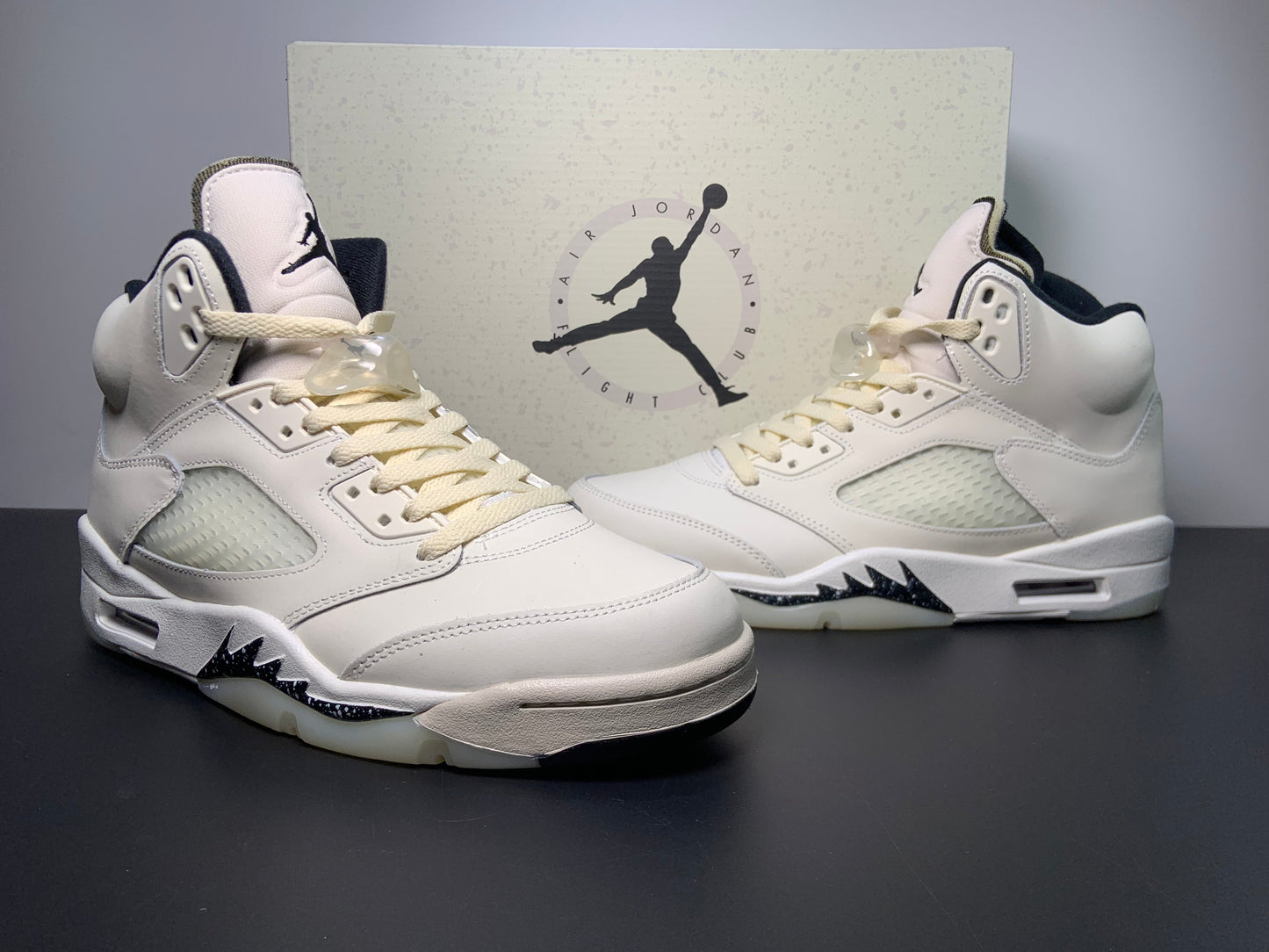 Air Jordan 5 Retro  SE  Sail FN7405-100