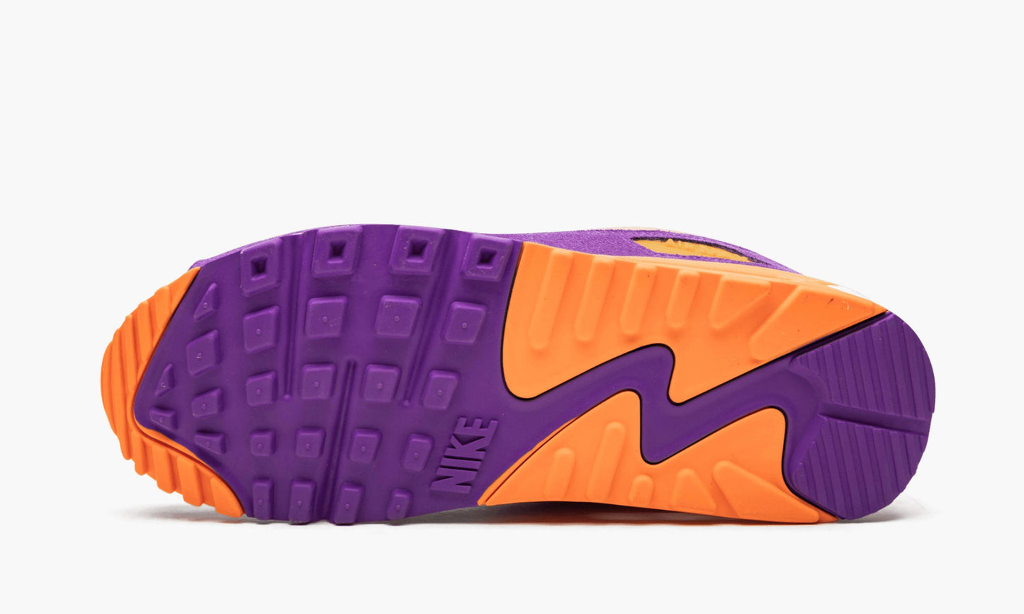 Air Max 90 "Viotech"