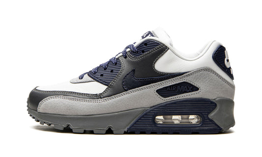 Air Max 90 "Lahar Escape Grey"